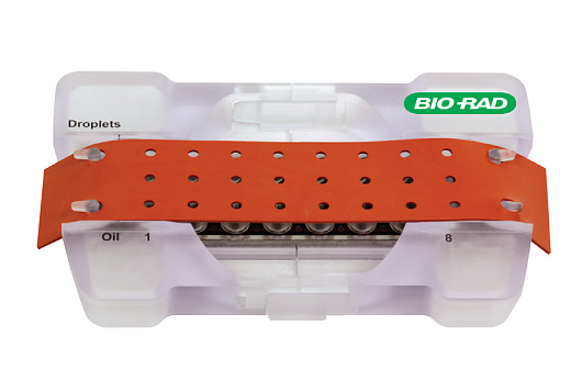 Уплотнительная прокладка, зафиксированная поверх картриджа DG8, установленного в держатель