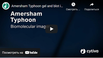 Сканеры лазерные Amersham Typhoon, демонстрация работы прибора, GE (Cytiva), англ., 2021 г.