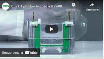 Правильная загрузка геля Mini-Protean, Bio-Rad, англ., 2021 г.