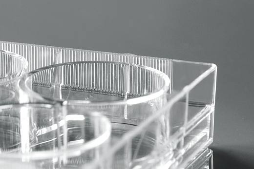 Бортик и наполнение культурального планшета Nest, Китай.