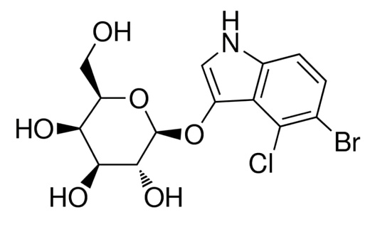 X-gal (5-бром-4-хлор-3-индолил-бета-D-галактопиранозид)
