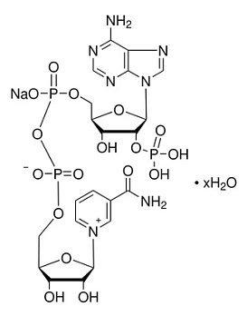 НАДФ-Na, 1 г, NeoFroxx, Германия