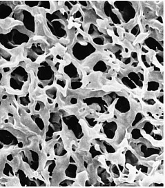 Мембрана, d пор 0,22 мкм, d мембраны 90 мм, поливинилиденфторид (PVDF), гидрофильная, нестерильная, 100 шт