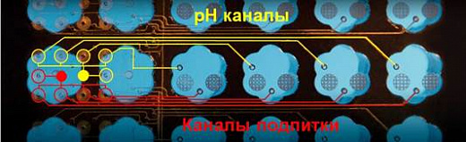 Планшет 48-лун. с лепестковыми лунками Flower Plate, микрофлюидный, розрачное дно, без оптодов, 1 шт. Фото 2