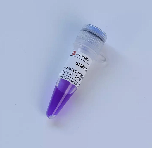 Маркер молекулярного веса GN8K DNA Marker, 0,1-8 кбаз, Servicebio, Китай