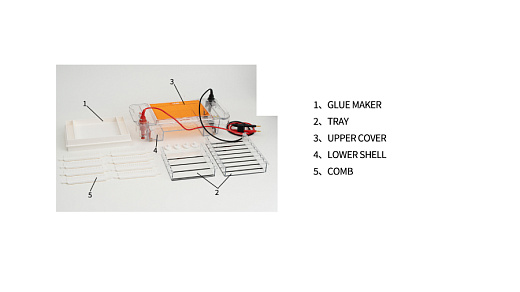 Электрофорезная горизонтальная камера, 13×15 см, 13×20 см, DL-SU, DLab, Китай