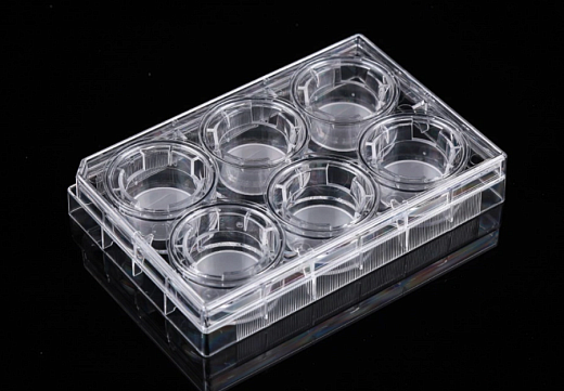 Планшеты культуральные 6-лун. со вставками, Nest, Китай