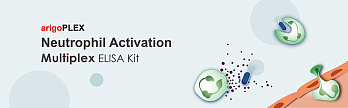 Набор ИФА arigoPLEX Mouse Pro-inflammatory Cytokine (IL-1β, IL-6, TNF-α, IFN-γ), 96 тестов, Arigobio, Китай