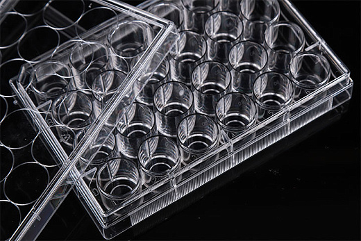 Планшеты культуральные 24 лун, со стеклянной вставкой 10 мм, 10 шт/уп, NEST, Китай