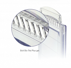 NW00102BOX Гель полиакриламидный Bolt Bis-Tris Mini Protein Gel, 8 х 8 см, 12 лунок, 10%, 10 шт./уп., Thermo FS