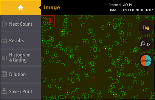 Счетчик и анализатор жизнеспособности дрожжевых клеток, 1-60 мкм, LUNA-II YF Фото 3