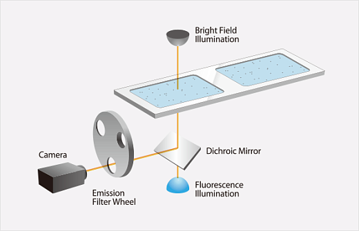 Схема работы, LUNA-FL, Logos Biosystems