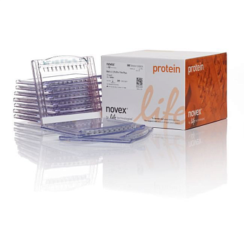 NW00087BOX Гель полиакриламидный Bolt Bis-Tris Mini Protein Gel, 8 х 8 см, 17 лунок, 8%, 10 шт./уп., Thermo FS