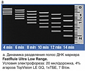 Маркер длин ДНК FastRuler Ultra Low Range, 5 фрагментов от 10 до 200 п.н., готовый к применению