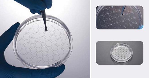 Чашки Петри с покровными пластинами CellSLIP 60 мм, диаметр пластины 10 мм, количество пластин 12 шт., ТС-обработаны, стерильные