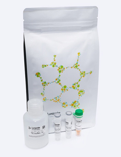 Набор для количественного определения одноцепочечной ДНК, с пробирками, 100 реакций, QuDye