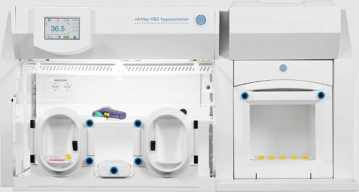 Клеточная станция для создания условий гипоксии, 295 л, H85, Don Whitley Scientific (вид спереди)