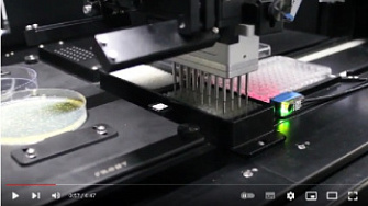 Перенос колоний с использованием системы переноса K63, KBiosystems, англ., 2018 г.
