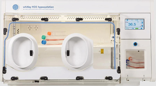 Клеточная станция для создания условий гипоксии, 300 л, HEPA, H35, Don Whitley Scientific