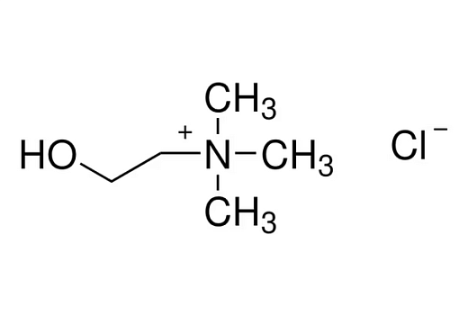 Холин хлорид, Cell Culture Tested, 100 г, CDH
