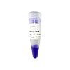 ДНК-маркер 100 bp DNA Ladder, 11 фрагментов от 100 до 1500 п.н., 5 мкл/нанесение, Vazyme