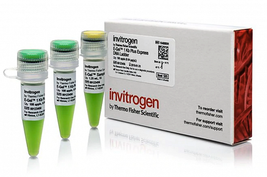 Маркер длин ДНК, E-Gel 1 Kb Plus Express, от 100 п.н. до 5000 п.н.