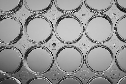 Планшеты культуральные 24-лун, плоскодонные, пов-ть ТС, стерильные, апирогенные, без ДНКаз и РНКаз Фото 4